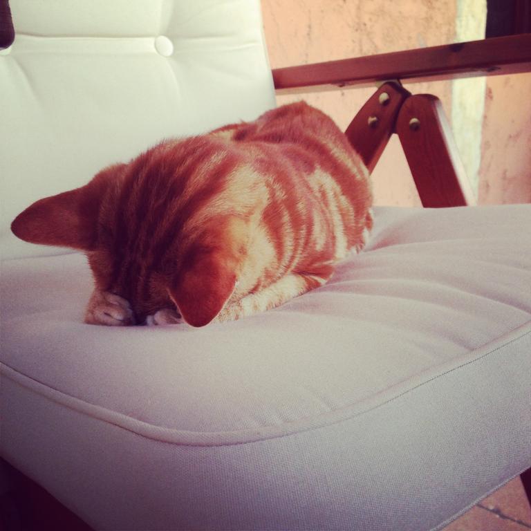 Casa Angela Villa ตอสโกลาโน มาแดร์โน ห้อง รูปภาพ